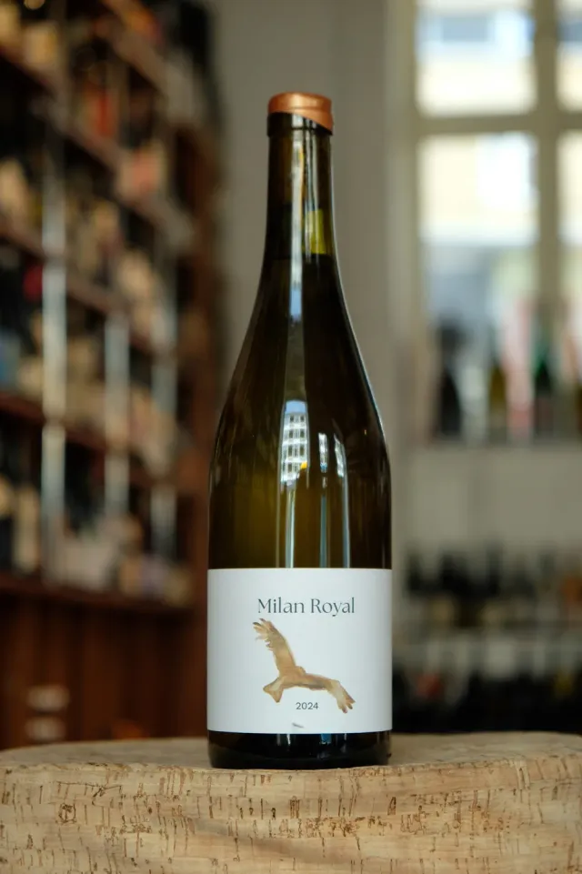 Vin de Table Milan Royal hvidvin 2024 johanitter