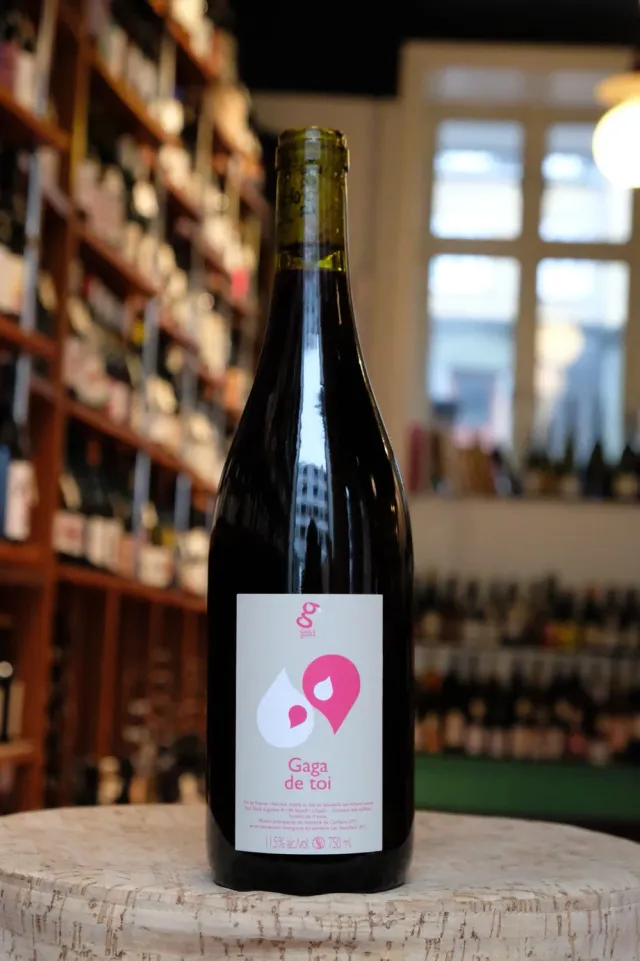 Gaga de Toi rødvin 2021 gamay Loire