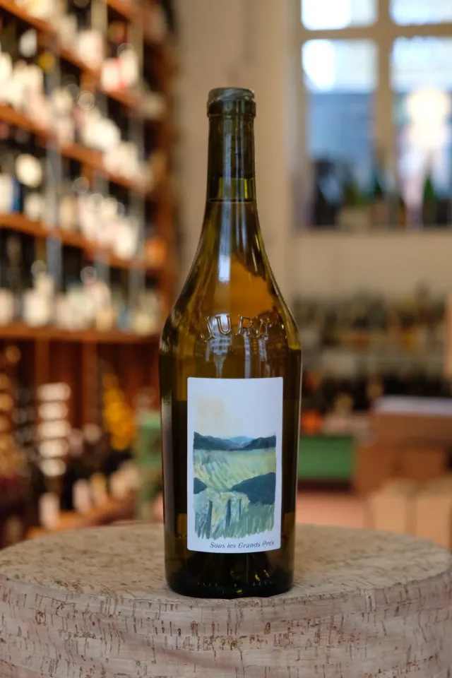 Vin de Table Sous les Grands Prés hvidvin 2023