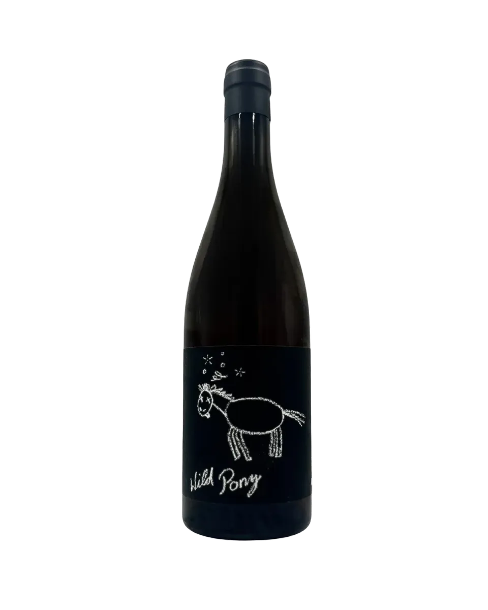 Bianka & Daniel Schmitt Wild Pony 2025 hvidvin orangevin