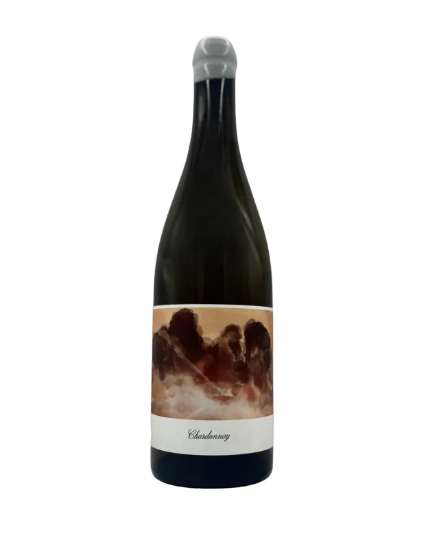 Bianka & Daniel Schmitt Chardonnay Goldberg 2023 hvidvin