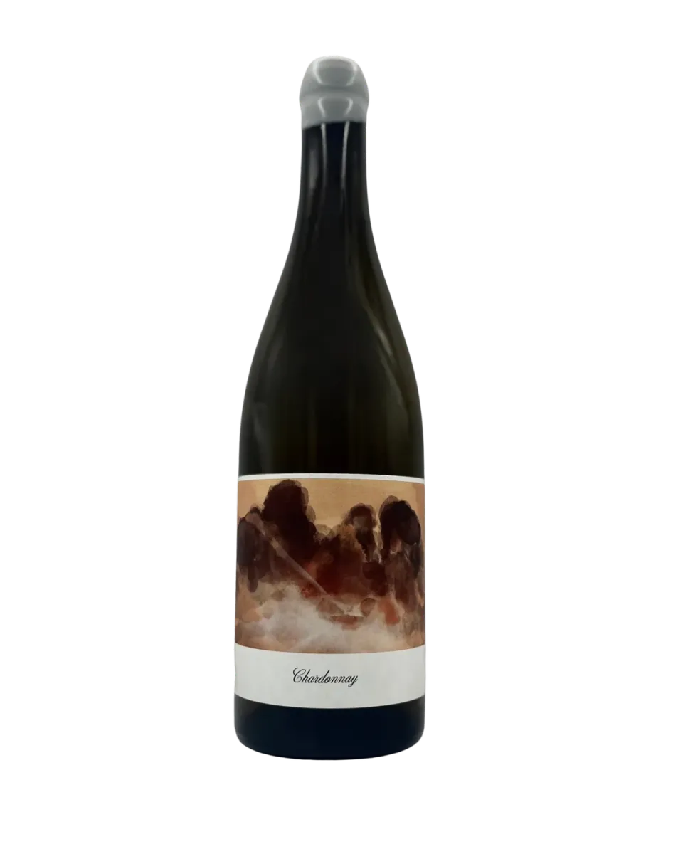Bianka & Daniel Schmitt Chardonnay Goldberg 2023 hvidvin