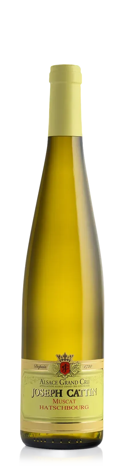 Joseph Cattin Hatschbourg muscat hvidvin grand cru