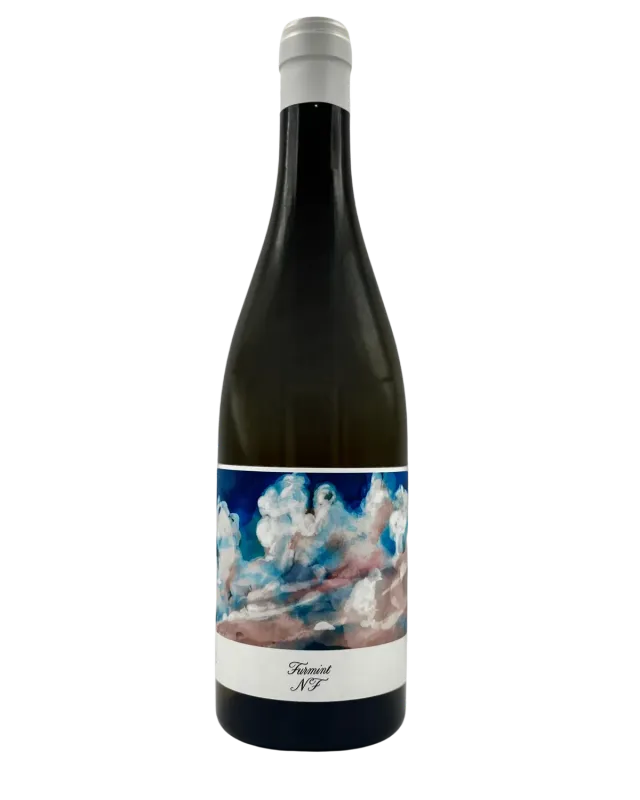 Bianka & Daniel Schmitt Furmint NF 2025 hvidvin tør