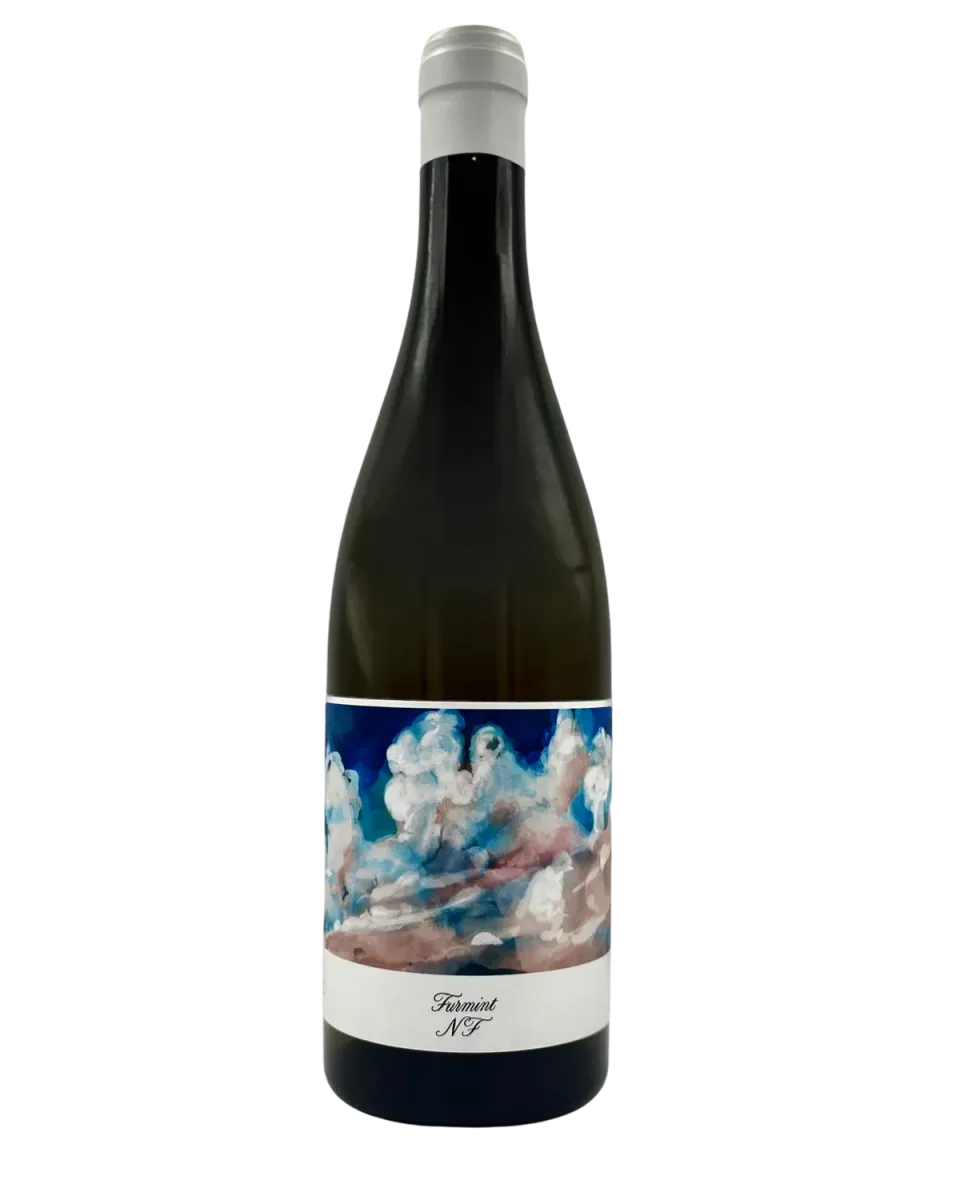Bianka & Daniel Schmitt Furmint NF 2025 hvidvin tør