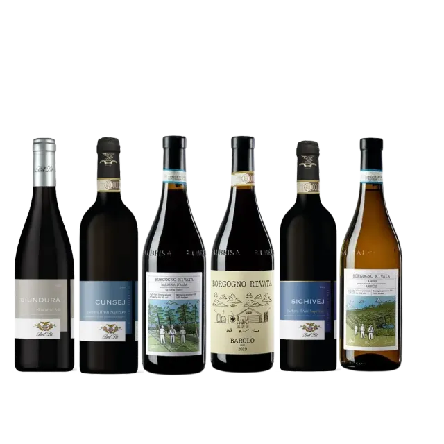 VinoSupremo Smagen af Piemonte smagekasse rød og hvid