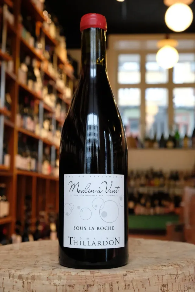 Vin de Table Moulin à Vent rødvin 2022 gamay