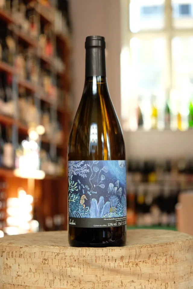 Vin de Table Luchini Blanc hvidvin NV chenin