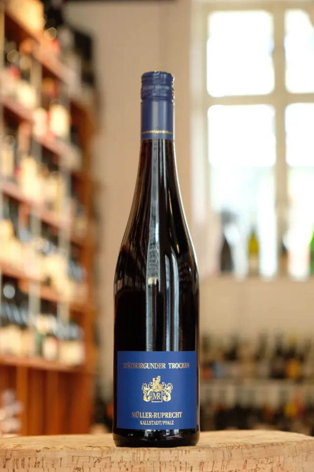 Vin de Table Spätburgunder rødvin 2022 økologisk