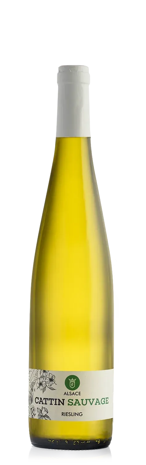 Joseph Cattin Sauvage Muscat hvidvin BIO Alsace