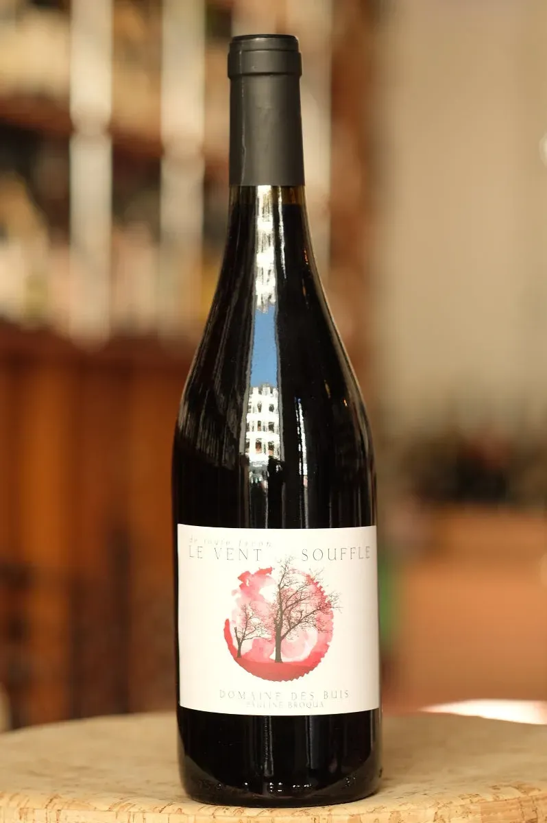 Vin de Table Le Vent Souffle rødvin 2019 cabernet franc