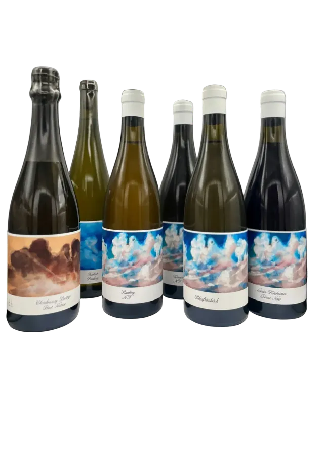 Bianka & Daniel Schmitt smagekasse vin 6 flasker blandet