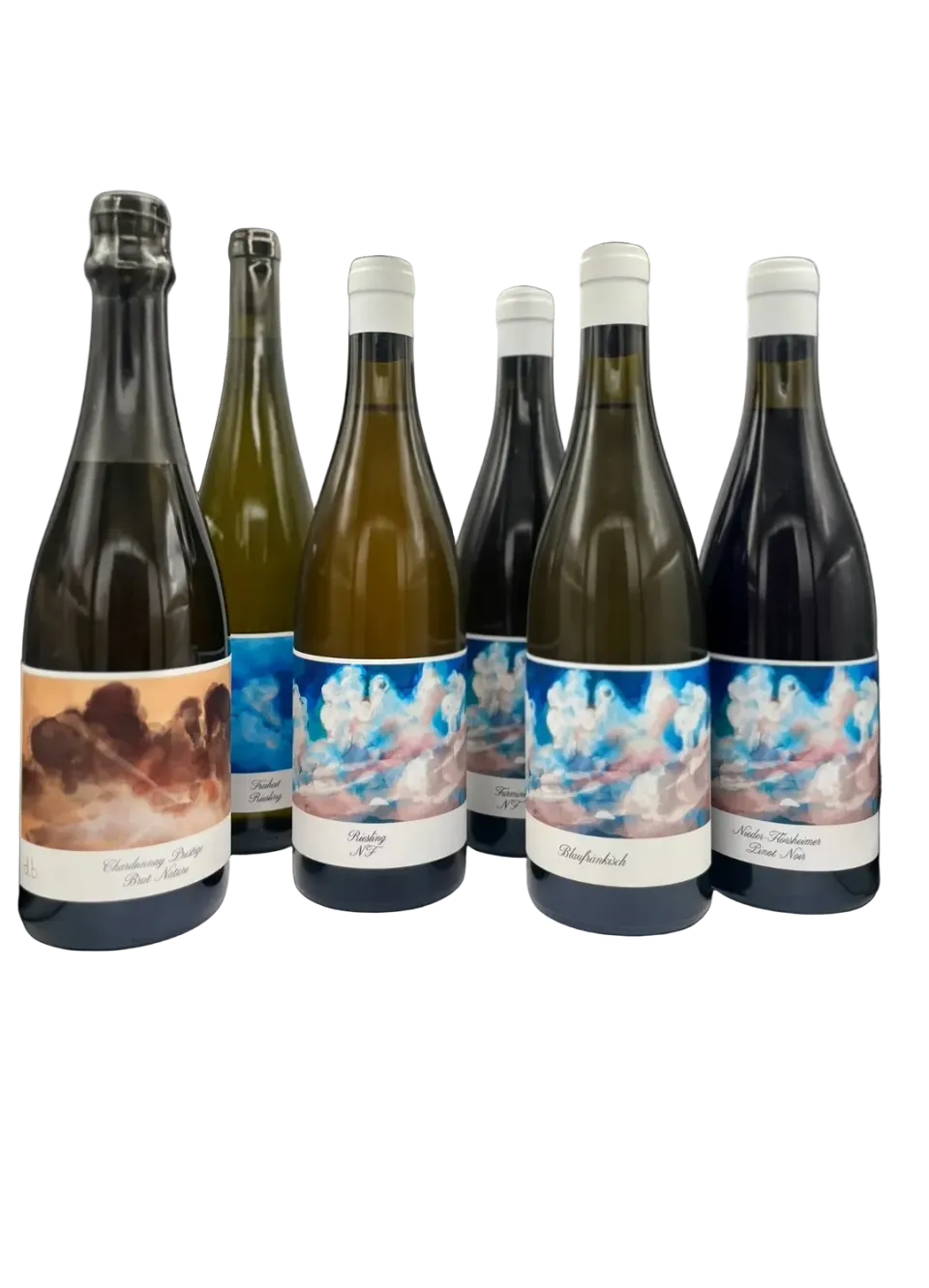Bianka & Daniel Schmitt smagekasse vin 6 flasker blandet