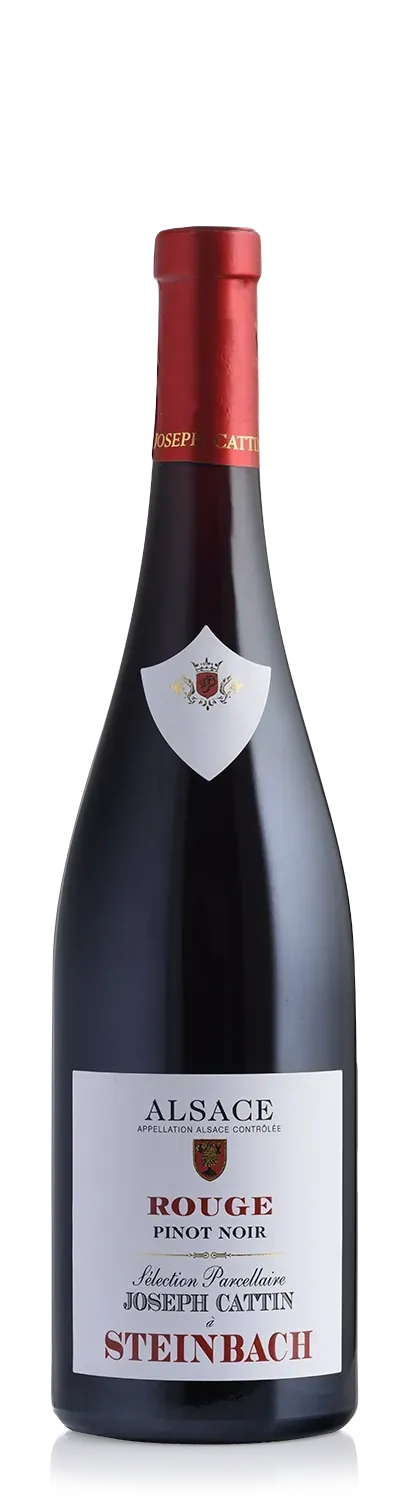 Joseph Cattin Steinbach Pinot Noir rødvin Rouge fadlagret