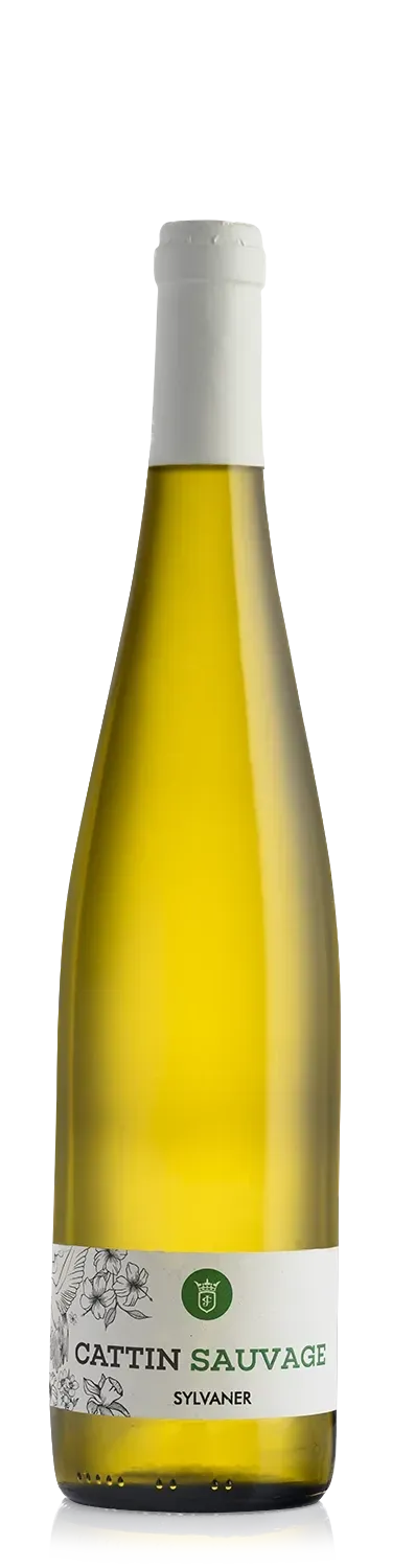 Joseph Cattin Sauvage Sylvaner hvidvin BIO Alsace